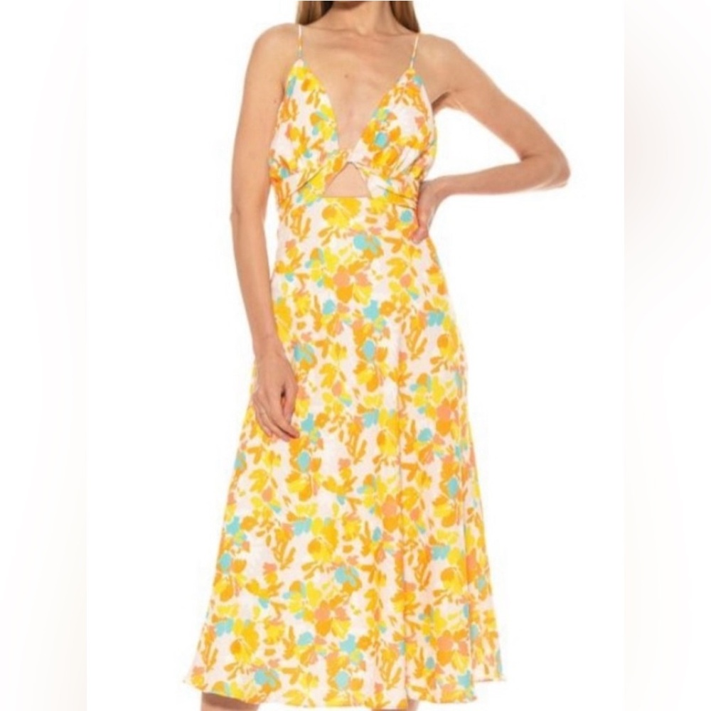 Alexa Admor beautiful midi dress
